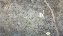 古龙岩失色锻造石怎么获得