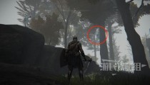 艾尔登法环睿智兽在哪 提斯魔法师塔进入方法