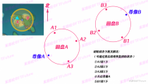 解除鳍的封印怎么解除 鳍的封印转不了