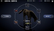 黑色沙漠手游5代马有多那些