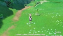 原神草元素反应有哪些