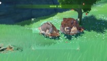 原神雕琢童心拍照地点 原神3.0雕琢童心攻略