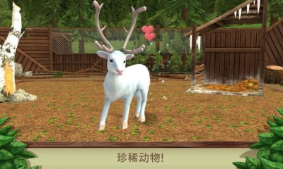 宠物成精啦
