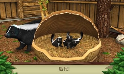 宠物成精啦