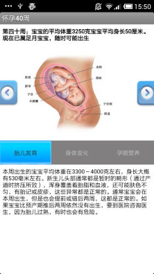 怀孕40周