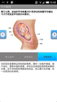 怀孕40周