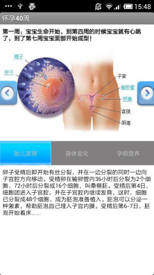 怀孕40周