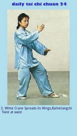 简化24式太极拳