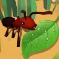 蚂蚁进化3D免广告