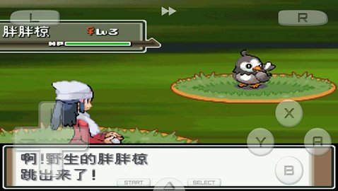 口袋妖怪白金版