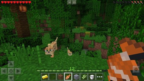 我的世界1.1.5.1国际版mod