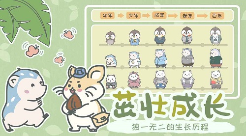 宠我一生无广告
