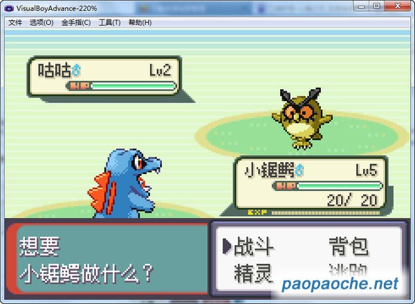 口袋妖怪心魂之羽