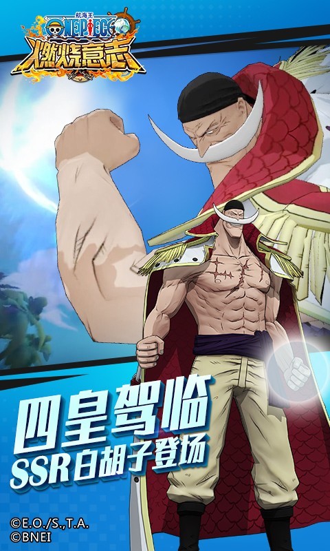 航海王燃烧意志