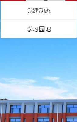 淄博实验中学