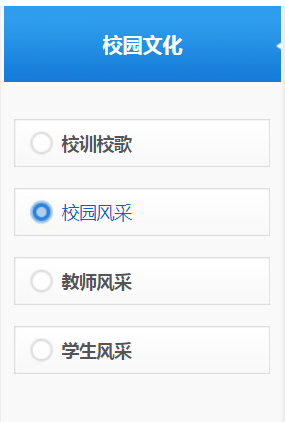 贵州电子科技职业学院