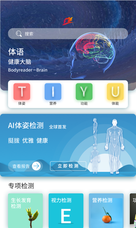 体语