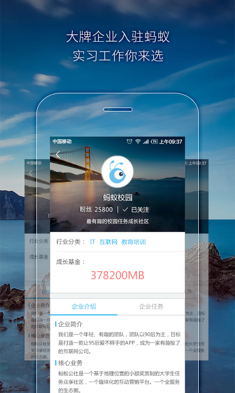 蚂蚁公社