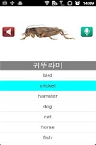 快速学韩语