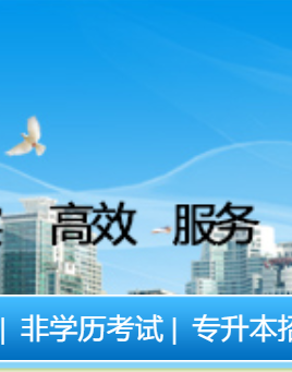 宁夏教育考试院
