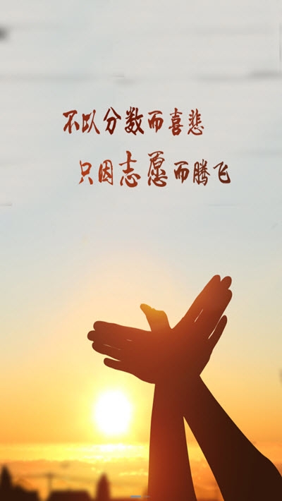 掌上志愿