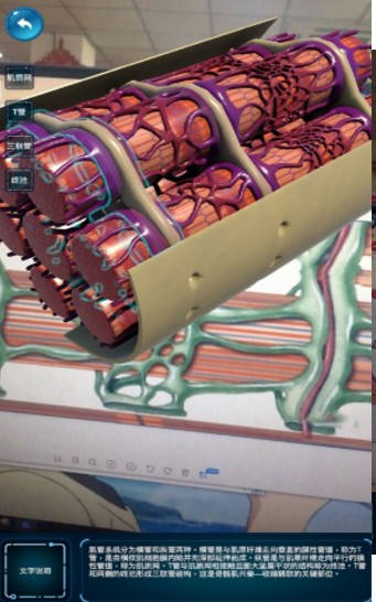 神经肌肉AR虚拟展‪示‬
