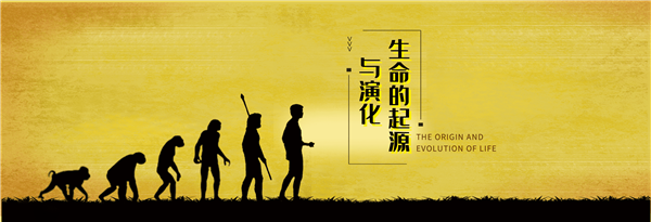 国家开放大学终身教育平台