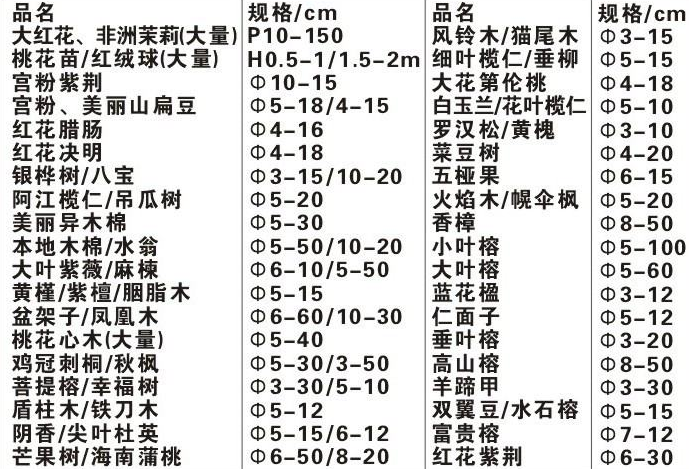 597苗木网