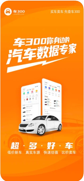 车300免费估值