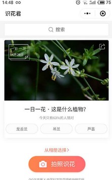 识花君