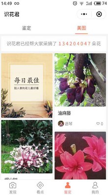 识花君