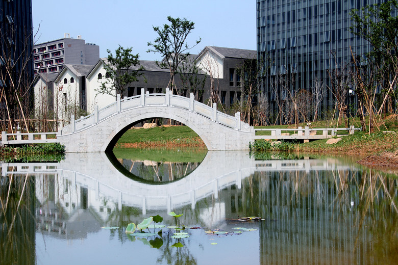 杭州师范大学本科招生网