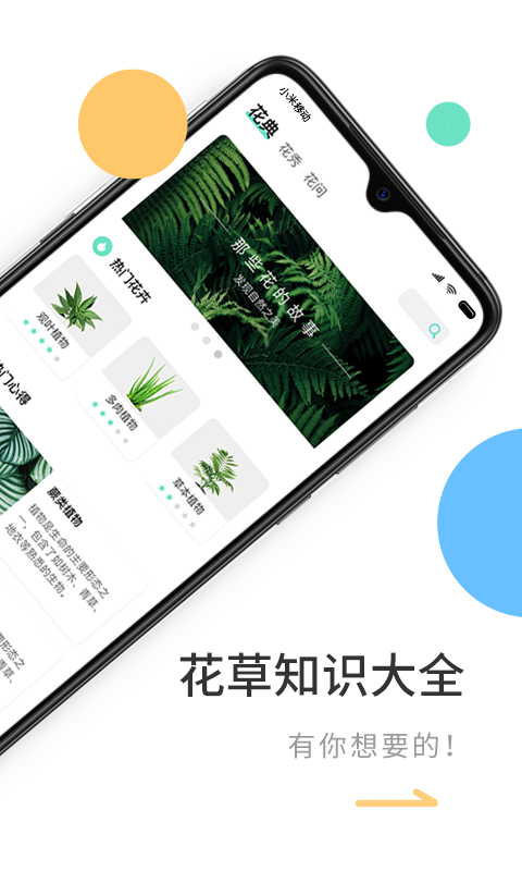 花将