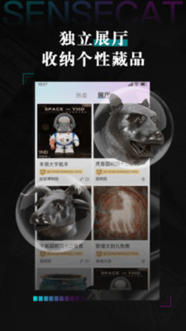 数字猫