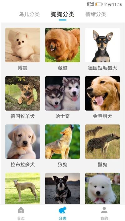 所有动物翻译器