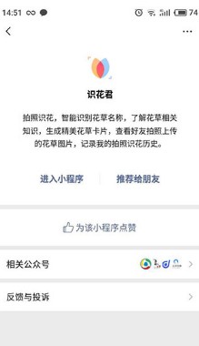 识花君