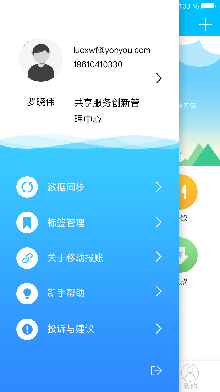友报账