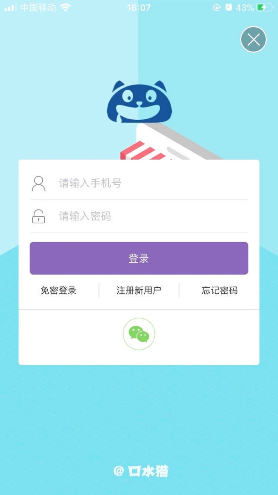 口水猫