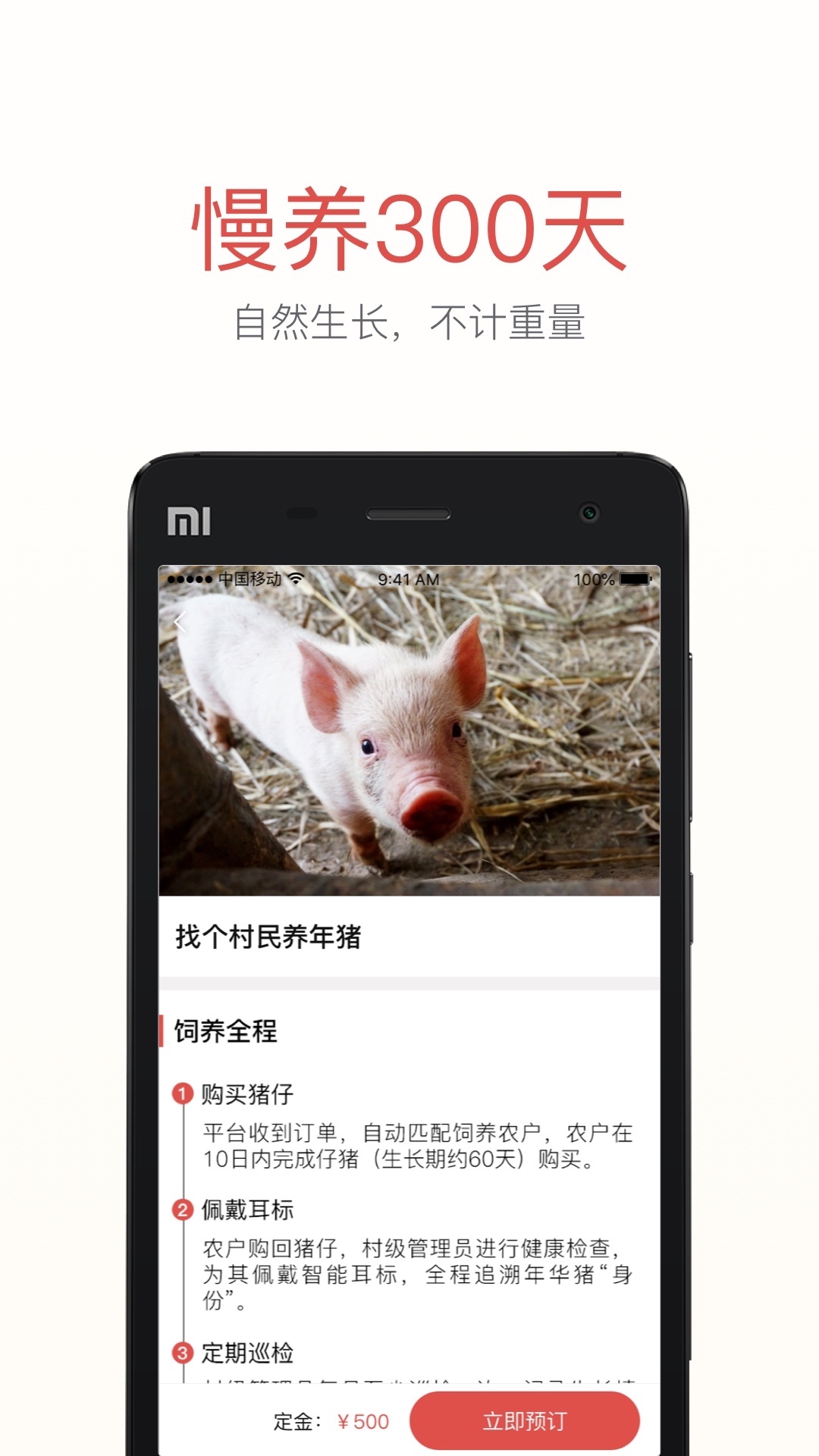 岫云村
