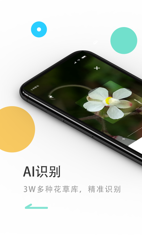 花将