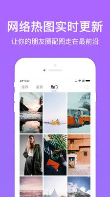 黄桃图片