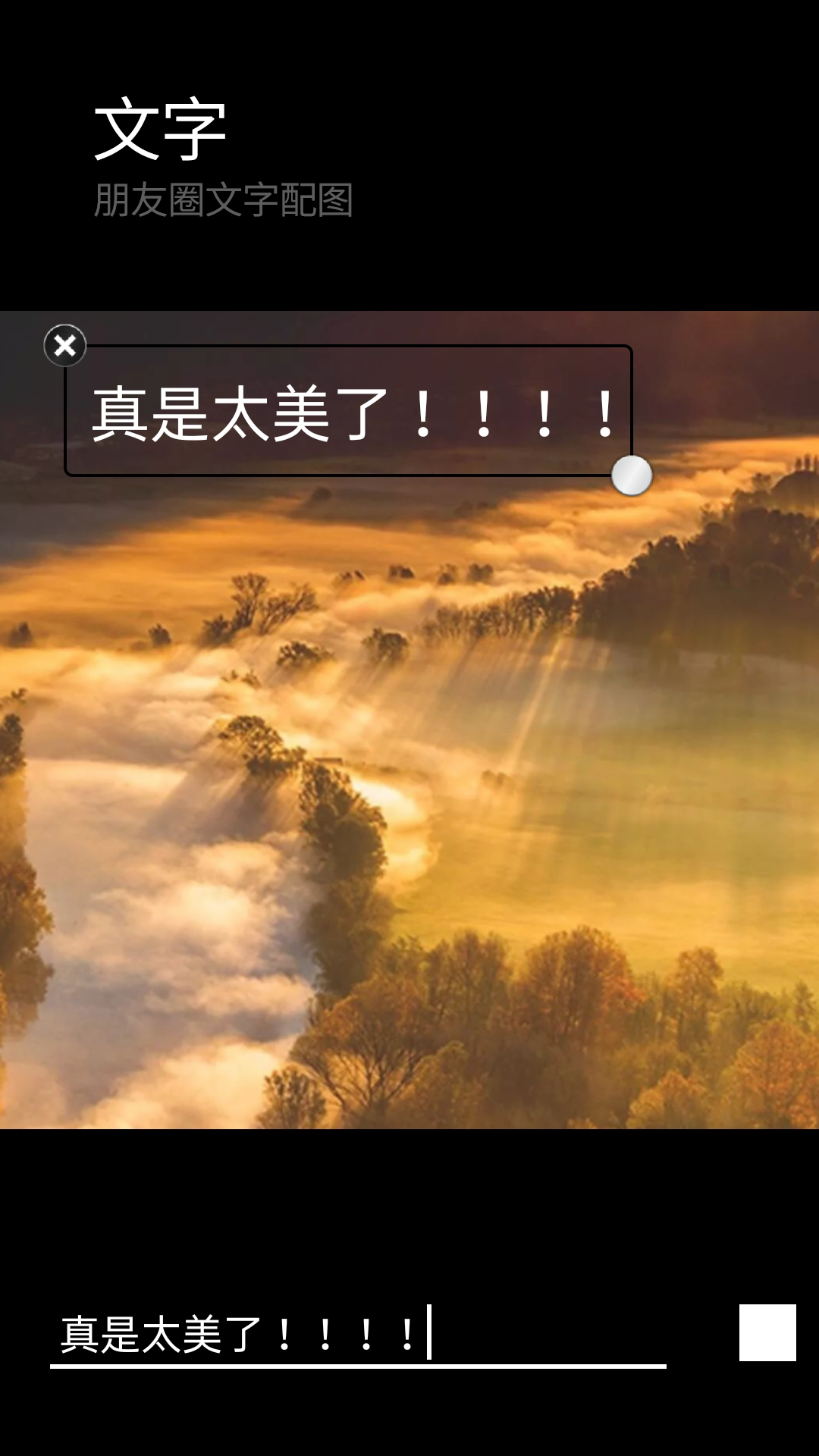 歪乐园
