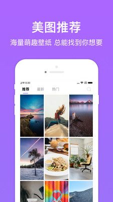 黄桃图片