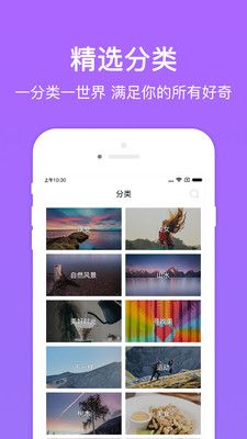 黄桃图片