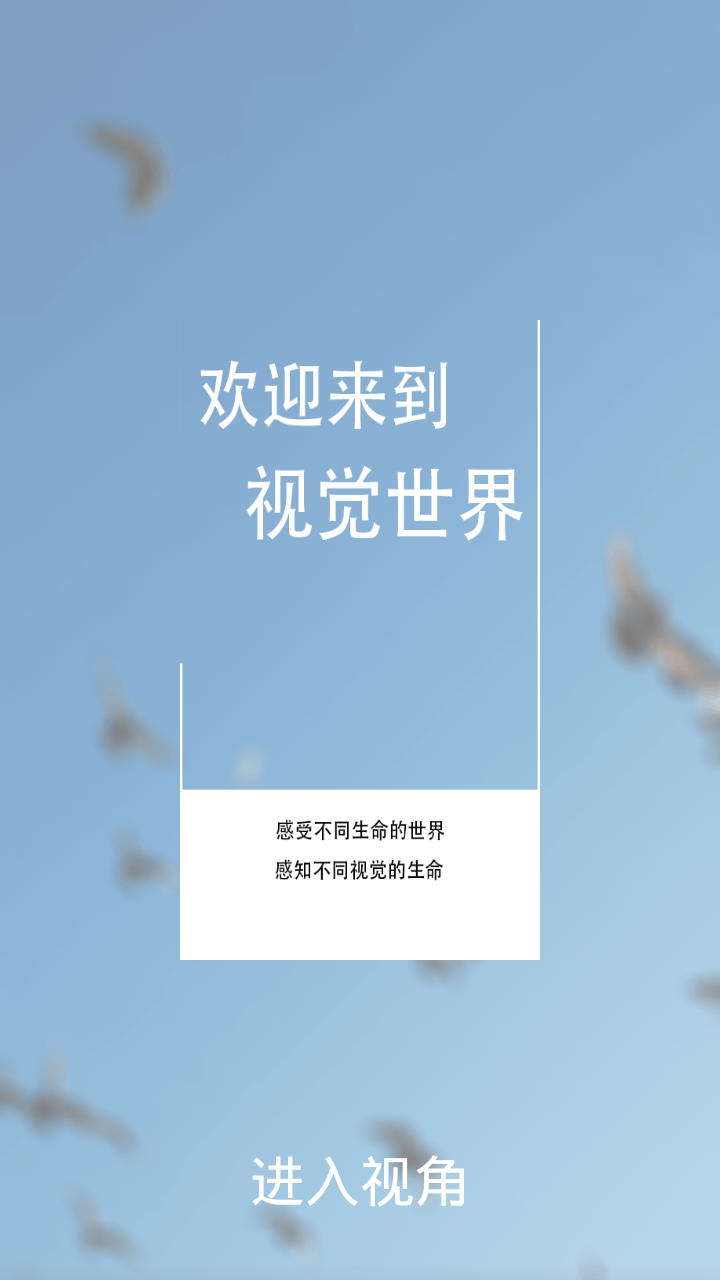 视角