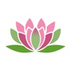 贴纸睡莲