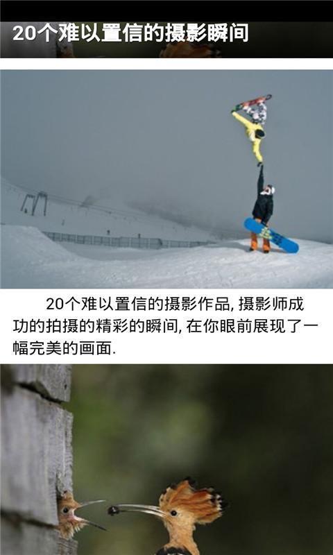 精美图片