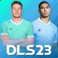 DLS23