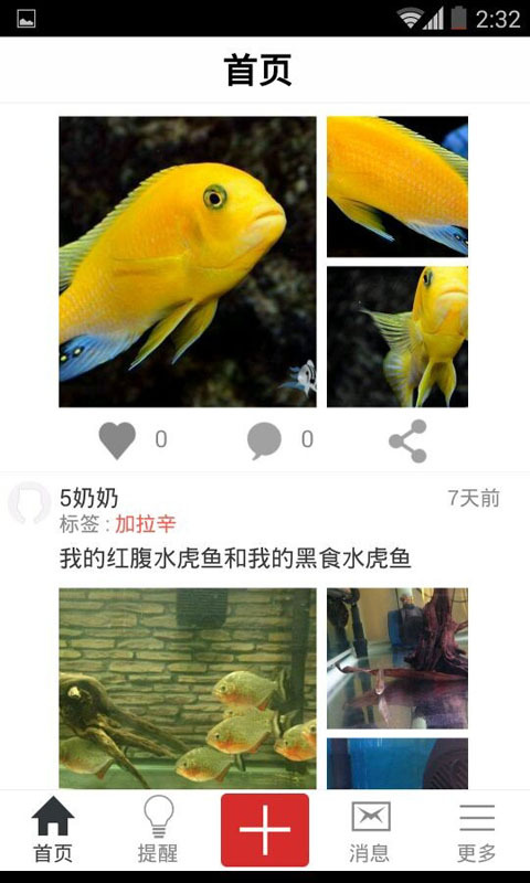 南美水族