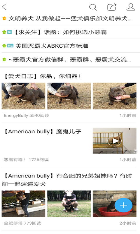 猛犬俱乐部